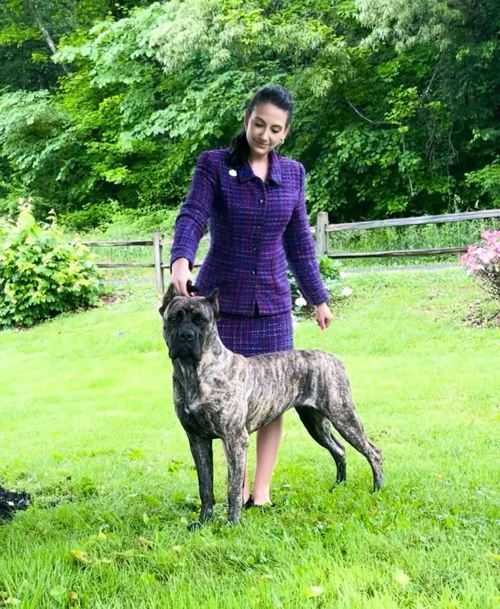 Furia standing in the grass with Chelsea