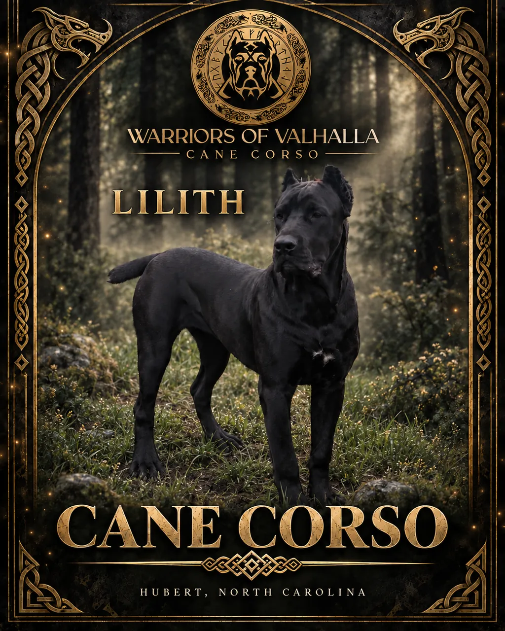 Lilith in our gold-and-forest kennel artwork