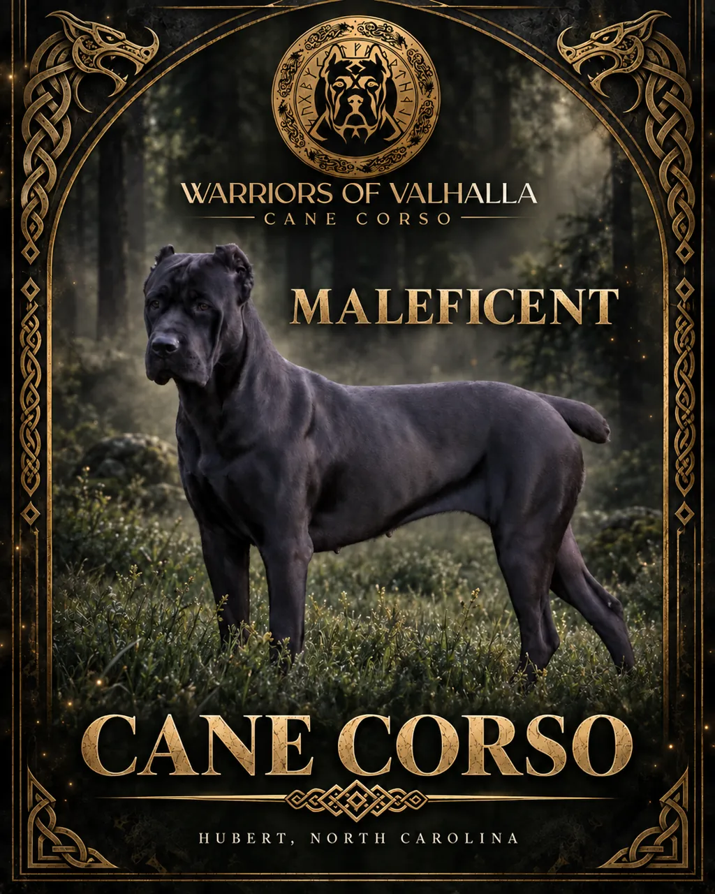 Maleficent in our gold-and-forest kennel artwork