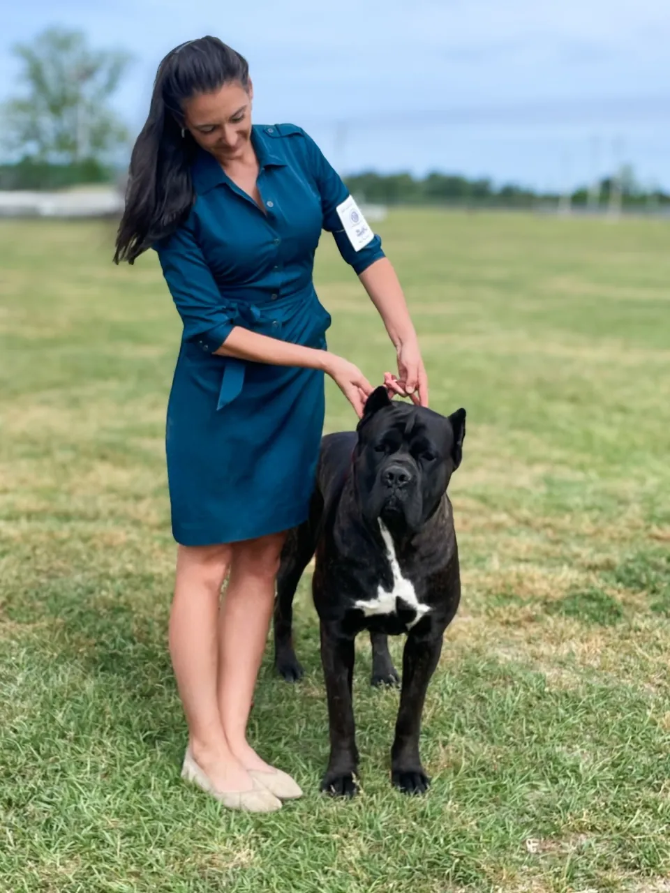 Omen standing on the grass beside a woman in a teal dress in his owner-selected show photograph